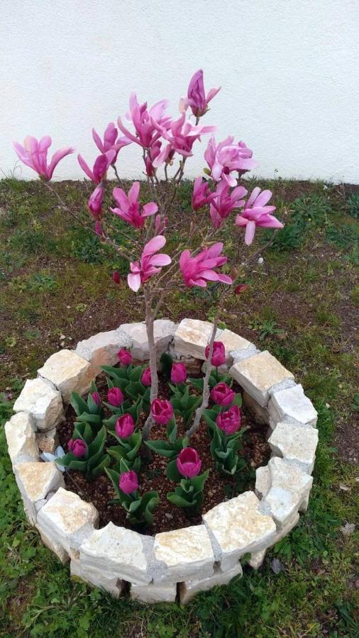 Palme Villa Poreč Kültér fotó