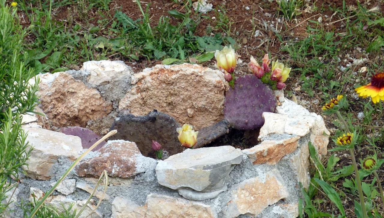 Palme Villa Poreč Kültér fotó